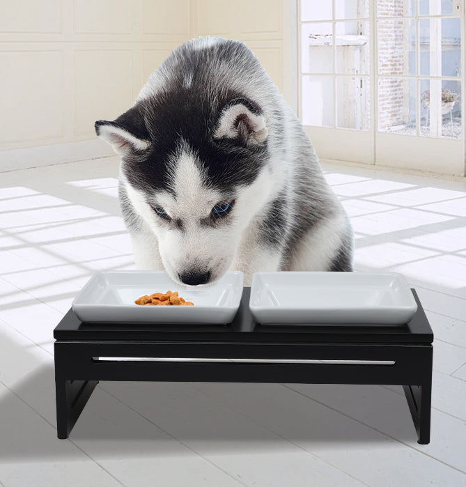 Pet Essentials