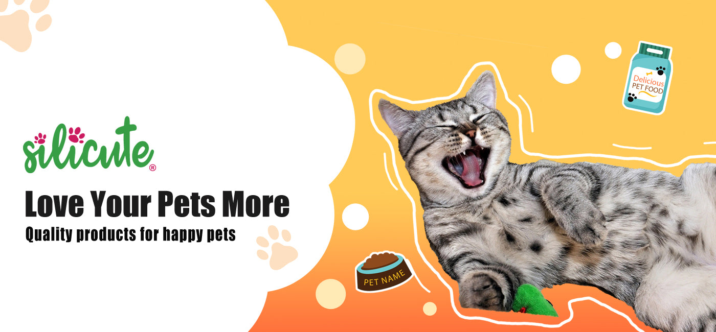 Silicute advertisement with a cat lying down on an orange and white background, featuring the brand's logo and tagline.