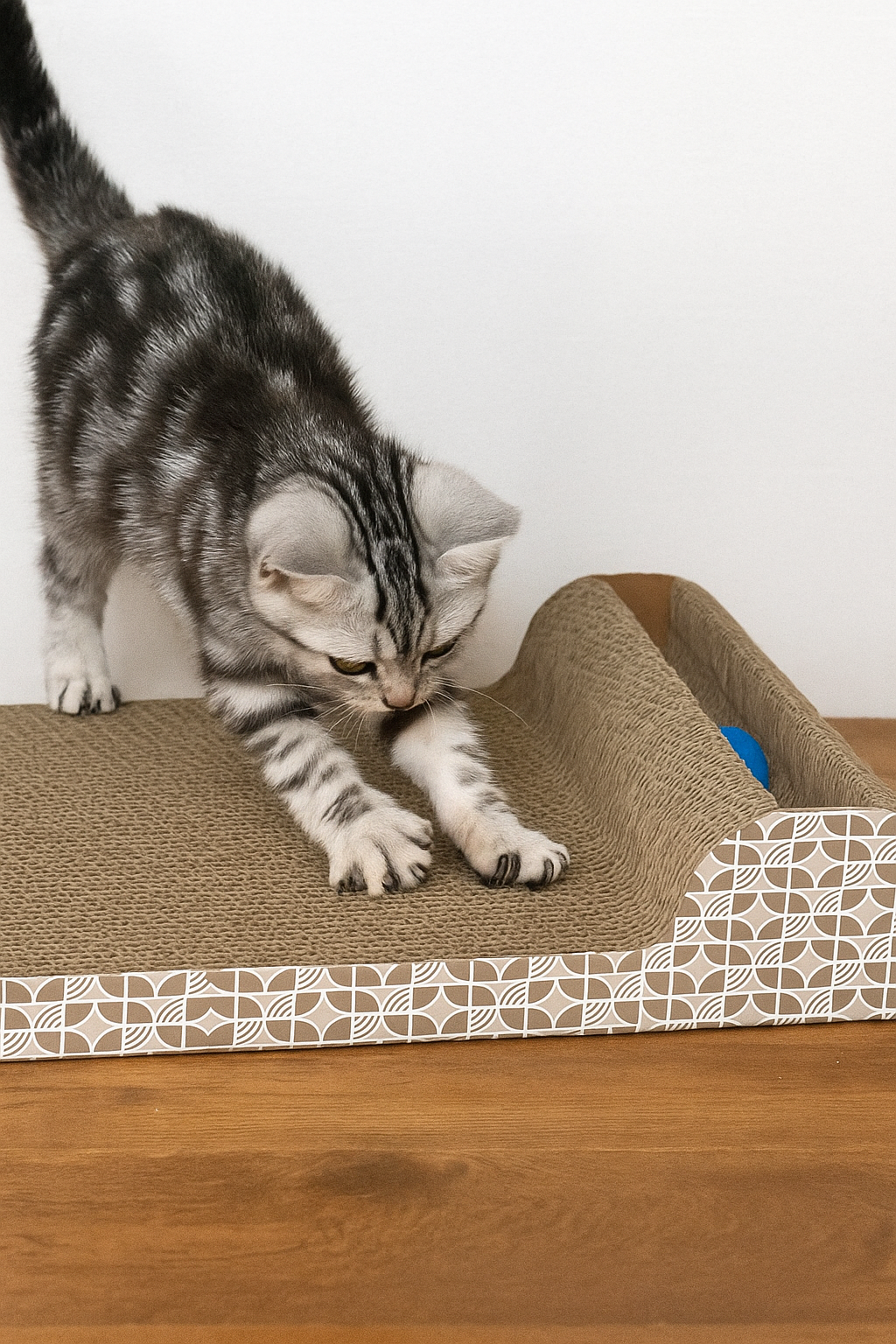 Catnip Scratching Board with Ball